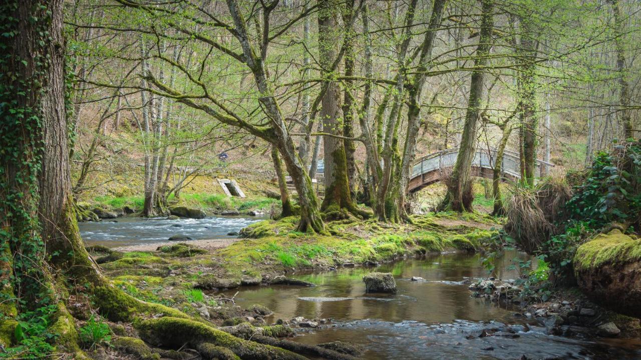 Le Moulin Des Ruats Hotel Avallon Luaran gambar